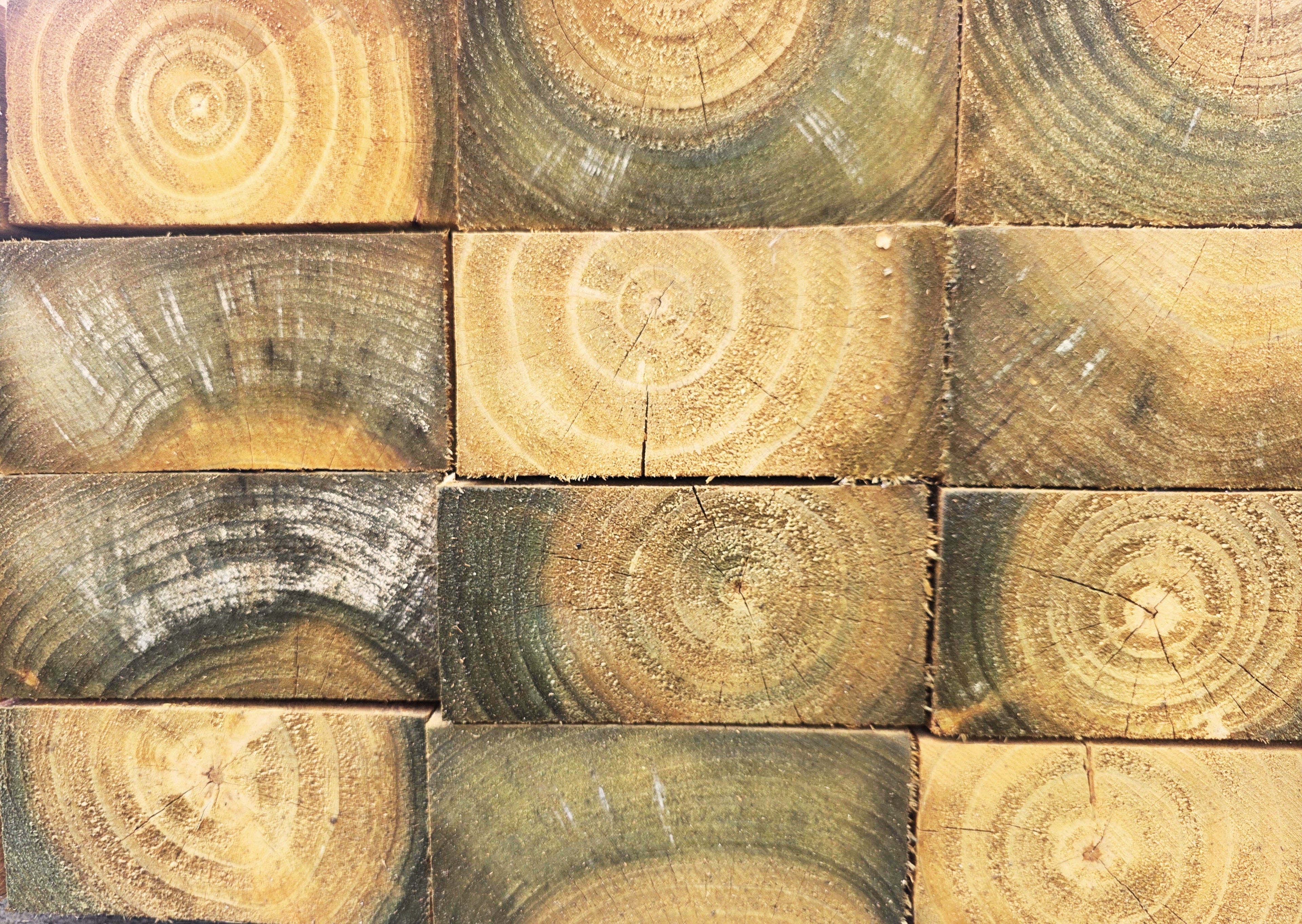 Timber Products