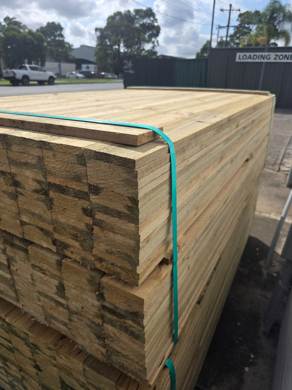 Timber Paling 100x15x1.8H