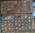 100x100mm H4 CCA Treated Pine Posts