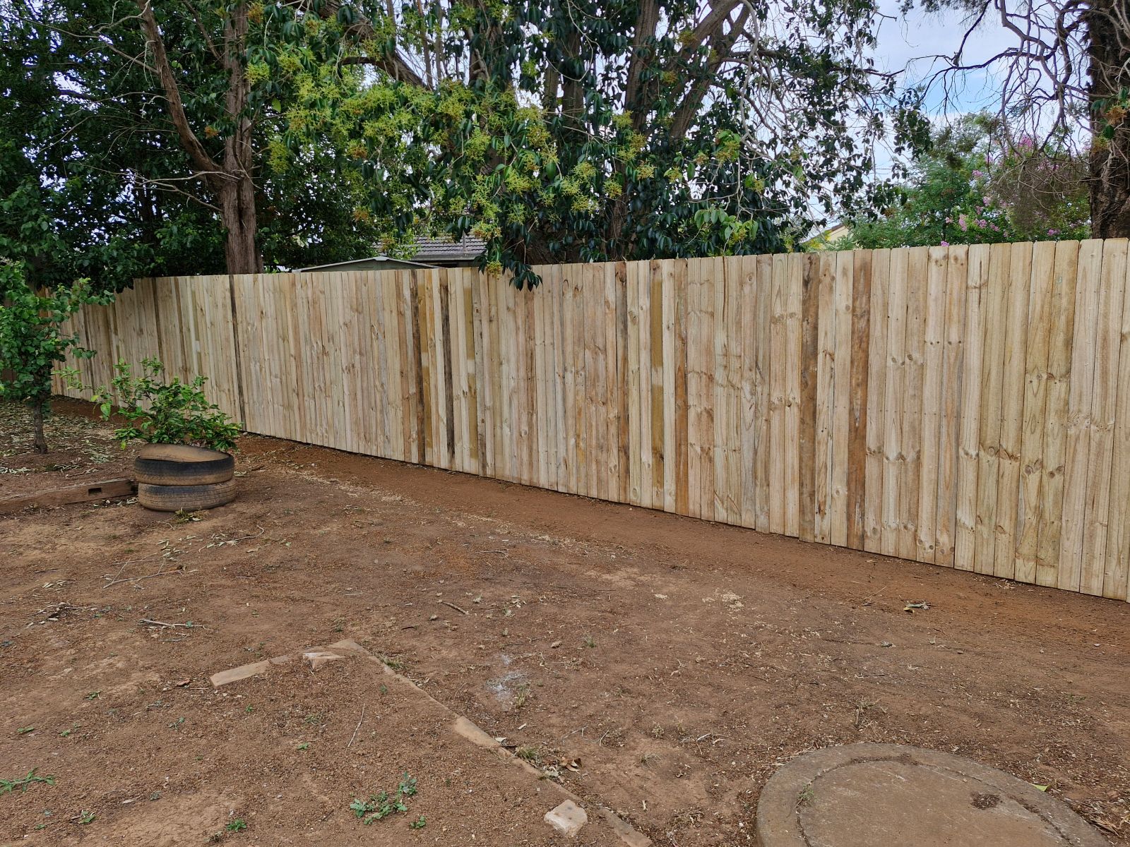 Timber Paling 100x15x1.8H