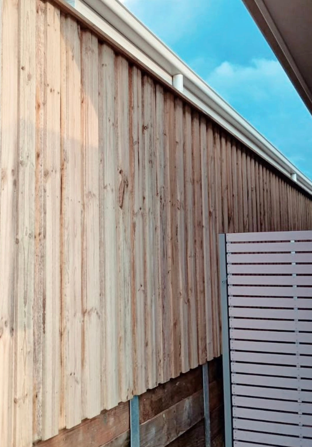 Treated Pine CCA Palings – 150x12mm